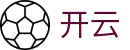 开云-官网首页-中文手机网页版